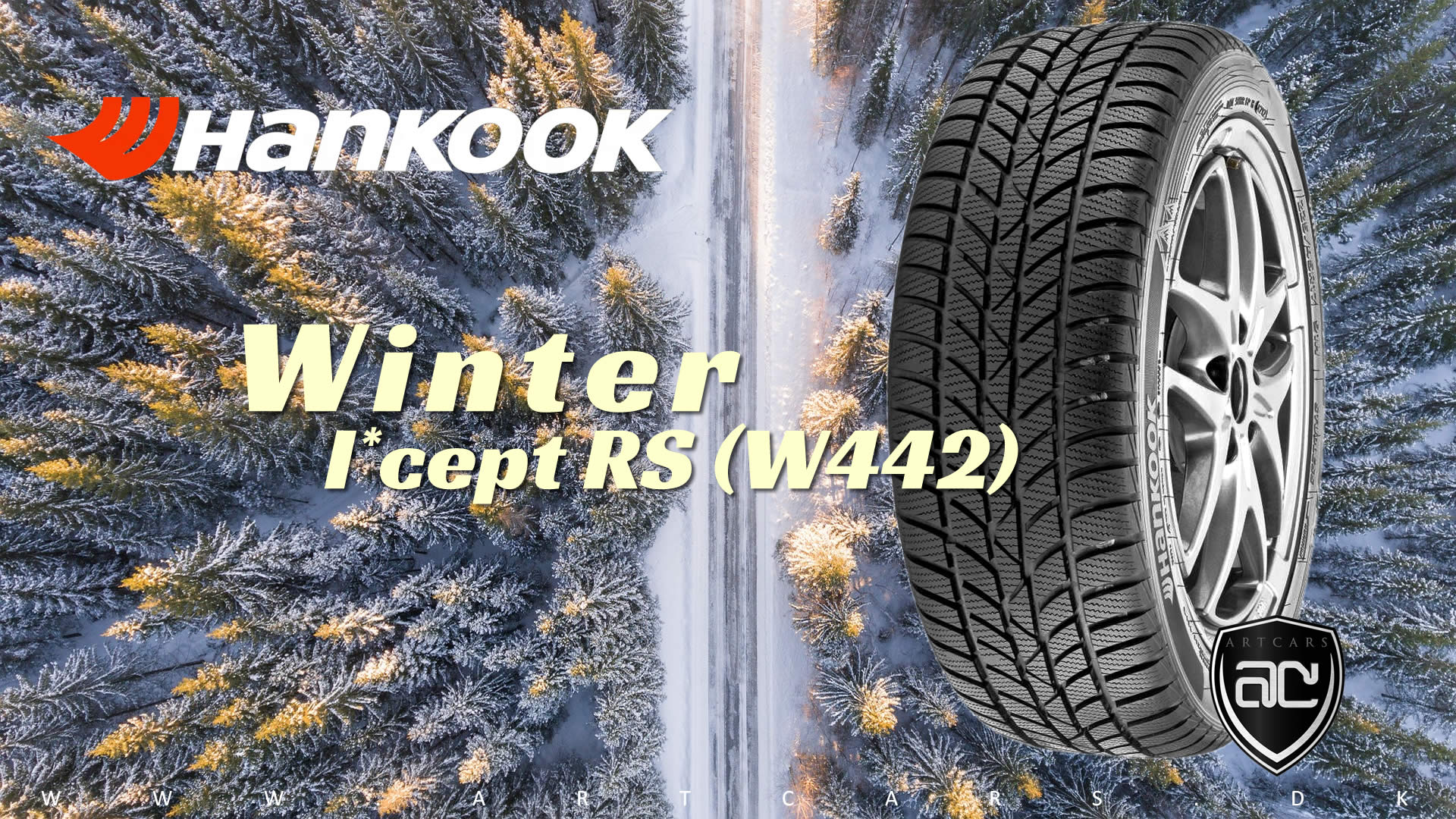 Hankook Winter i*cept RS (W442)