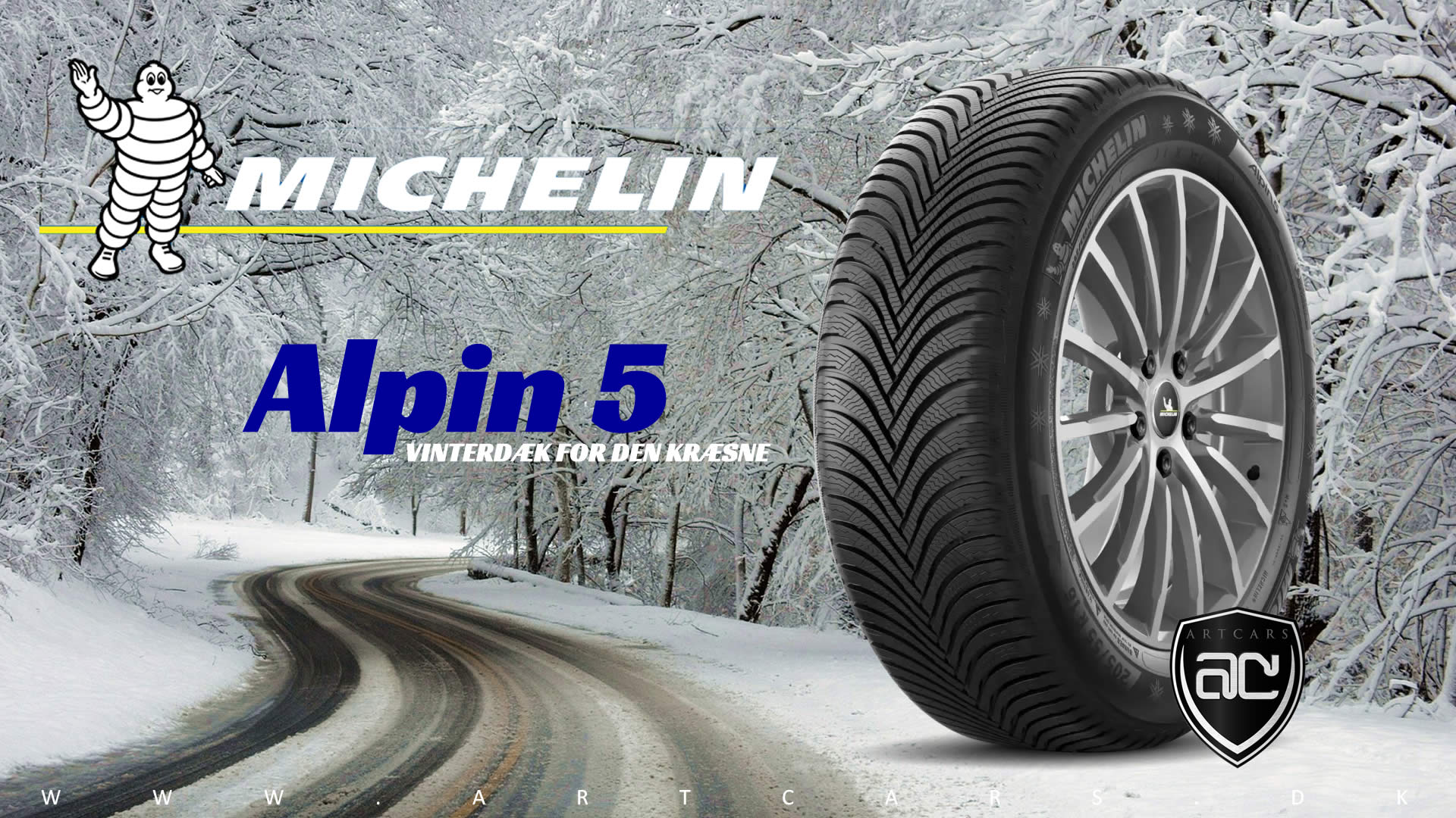 Michelin Alpin 5